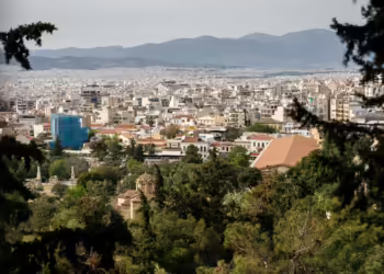 Δήμος Αθήνας: Ασπίδα προστασίας για 8.000 μουριές