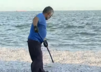 Βόλος: Τα τέσσερα μέτρα στήριξης των επιχειρηματιών μετά την οικολογική καταστροφή με τα νεκρά ψάρια